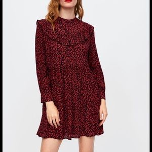 Zara Woman Animal Print Red And Black Ruffle Dress